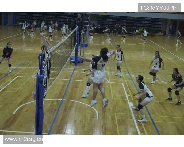 科学排球训练新方法：提升节奏感与团队配合的有效策略